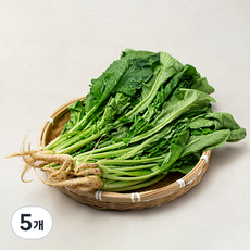 국내산 열무, 900g, 5개