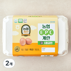 농협 EPC 무항생제 인증 1등급 특란 900g, 2개, 15구