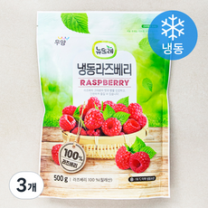 뉴뜨레 냉동라즈베리 (냉동), 500g, 3개