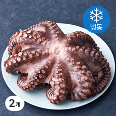 대흥물산 한마리 데친 문어 (냉동), 650g, 2개
