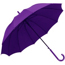 가벼운장우산