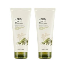 더페이스샵 허브데이 365 마스터블렌딩 페이셜 클렌징 폼 녹두, 170ml, 2개 170ml, 2개