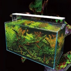 ISTA 伊士達 高透光水草燈 60cm, 白光18pcs 紅光4pcs 綠光2pcs 藍光2pcs, 1個