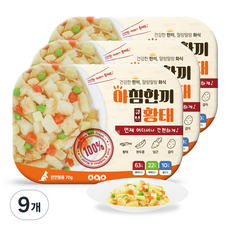 오아오 강아지 전연령용 아침한끼 황태 습식사료, 9개, 70g