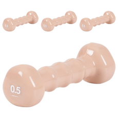 아이워너 PVC 삼각 아령 코랄핑크, 0.5kg, 4개