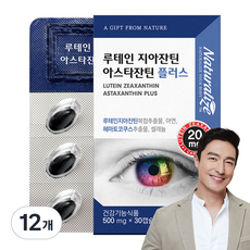 네추럴라이즈 루테인 지아잔틴 아스타잔틴 플러스 15g, 30정, 12개