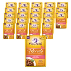 웰니스 고양이 헬시 인덜전스 머셀 습식사료 파우치, 24개, 85g, 참치