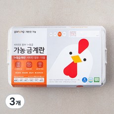 가농 무항생제 비타민E 함유 1+등급 특란, 15구, 3개 3개