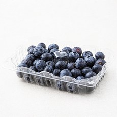 온새미 국내산 블루베리, 200g, 1개