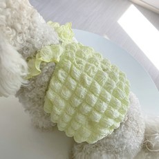 강아지뽀글이-추천-상품