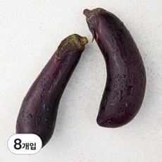 친환경 가지, 2개입, 4개