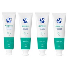 라이프홀릭 치석케어 치약, 100g, 4개