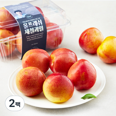 올프레쉬 새콤달콤 GAP 인증 와촌 후무사 자두, 2팩, 1.2kg