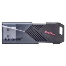 Kingston 金士頓 USB3.2行動碟 DTXON, 256GB, 活動保護蓋設計, 鑰匙圈隨身碟, 1個