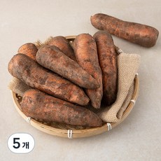 제주 친환경 흙당근, 1kg, 5개