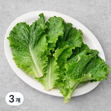 한끼 청상추, 80g, 3개
