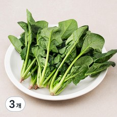 국내산 친환경 시금치, 200g, 3개 150g, 3봉