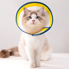 PASTEL PET 寵物網狀配色線條頸圈, 1個, 黃色 藍色