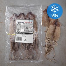 포항시인증 해선생 구룡포 건오징어 20미 (냉동), 1.45kg, 1개