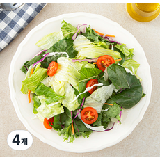 프레시 채소믹스, 1kg, 1개입, 4개