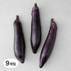 국내산 GAP 가지, 9개입