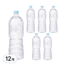 석수 무라벨 생수, 2L, 12개