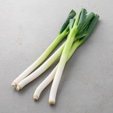곰곰 국내산 깐대파, 500g, 1봉