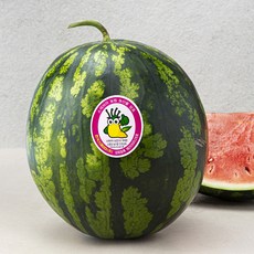 농협 스테비아 농법 수박, 8kg 미만, 1개