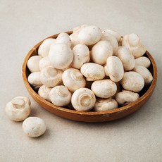 양송이버섯(특품) 국내산, 1kg, 1개