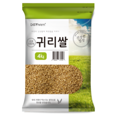 건강한밥상 2023년산 햇곡 국산 귀리쌀, 4kg, 1개