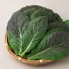 적겨자 국내산, 2kg, 1개