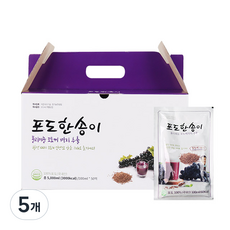김재식헬스푸드 포도한송이 포도씨포도즙, 5L, 250개