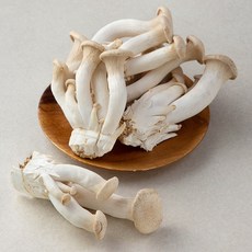 국내산 머쉬마루버섯, 540g, 1개