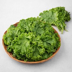 청겨자 국내산, 2kg, 1개