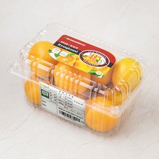 감귤농협 GAP 인증 하우스 감귤, 800g, 1팩