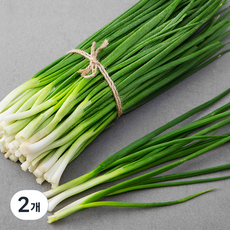 친환경 제주 깐쪽파, 500g, 2개