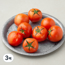 곰곰 친환경 토마토, 900g, 3팩