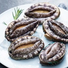 아라보감 ASC 인증 국내산 전복 대 (냉장), 500g(4~5미), 1개