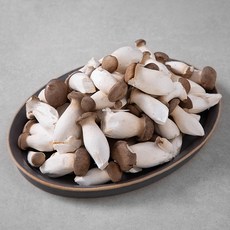 친환경 미니 새송이버섯, 600g, 1개