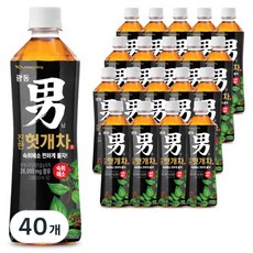 광동진한헛개차 남, 500ml, 40개 40개, 500ml