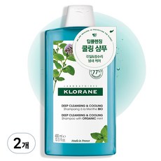 클로란 아쿠아민트 딥클렌징 앤 쿨링 샴푸, 400ml, 2개