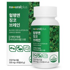 내츄럴플러스 혈행앤 징코 브레인, 90정, 45g, 1개