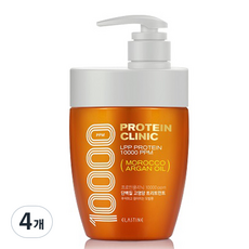 엘라스틴 프로틴 클리닉 10000 고영양 단백질 트리트먼트 플로럴 머스크향, 700ml, 4개