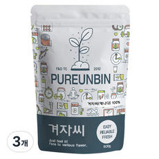푸른빈 겨자씨