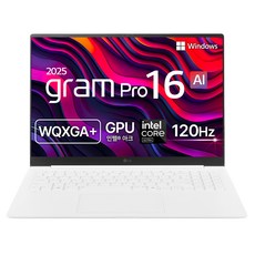 LG전자 2025 그램 프로 16 코어Ultra5 애로우레이크 방문설치, 에센스 화이트, 512GB, 16GB, WIN11 Home, 16Z90TP-KA5WK