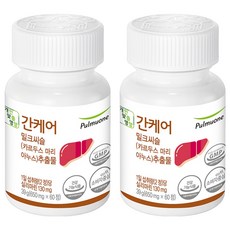 풀무원건강생활 간케어 밀크씨슬 추출물, 2개, 60정