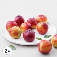 다조은 경산 당도선별 천도복숭아