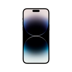 Apple 정품 아이폰 14 Pro Max 자급제, 스페이스블랙, 1TB