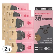 미팩토리 3단 흑돼지 코팩, 3개입, 2개