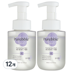 퓨어블 거품형 포밍 핸드워시 퍼플 300ml, 플로랄향, 12개